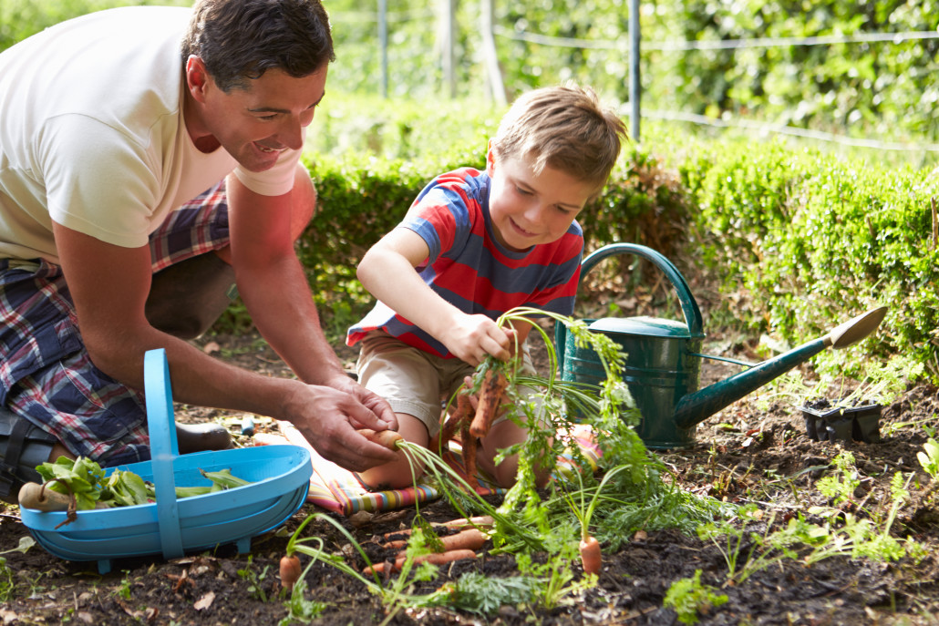 Gardening tips for back and body health