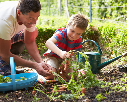 Gardening tips for back and body health